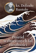 Polnische buch : Pośród wzb... - ks. Dolindo Ruotolo