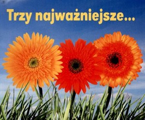 Bild von Trzy najważniejsze. . . Perełki