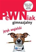 Polnische buch : PeWNiak gi... - Anna Szafarz, Agnieszka Szurek