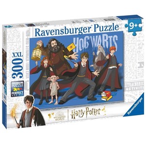 Bild von Puzzle 2D 300 Magiczna Brygada