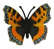 Motyl rusa... - buch auf polnisch 