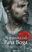 Polska książka : Przepustka... - Jan Śleszyński