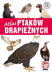 Obrazek Atlas ptaków drapieżnych