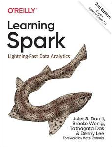 Obrazek DAMJI, J: LEARNING SPARK