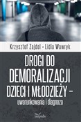 Polska książka : Drogi do d... - Krzysztof Zajdel, Lidia Wawryk