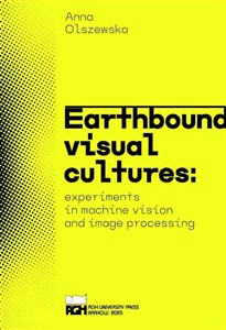 Bild von Earthbound visual cultures