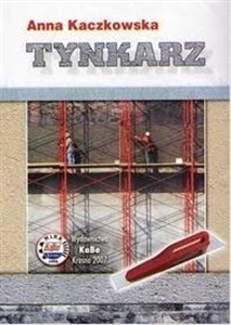 Obrazek Tynkarz