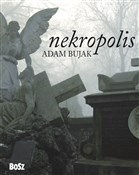 Nekropolis... - Adam Bujak, Jacek Kolbuszewski - buch auf polnisch 