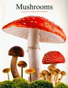 Polnische buch : Mushrooms - Liz O'Keefe