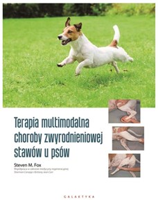 Bild von Terapia multimodalna choroby zwyrodnieniowej stawów u psów