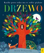 Polska książka : Drzewo - Patricia Hegarty