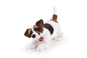 Bild von Jack Russel M