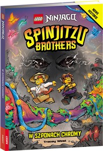 Obrazek Lego Ninjago Spinjitzu Brothers W szponach Chromy