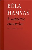 Książka : Godzina ow... - Béla Hamvas