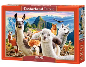 Obrazek Puzzle Llamas Selfie 1000 C-104758-2
