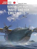 Combat Air... - Edward M. Young -  fremdsprachige bücher polnisch 