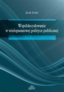 Bild von Współdecydowanie w wielopasmowej polityce publicznej