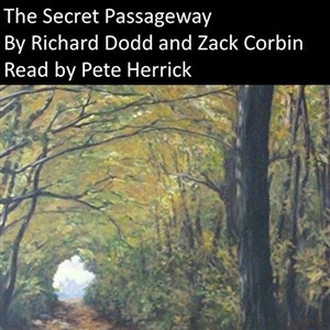 Bild von The Secret Passageway