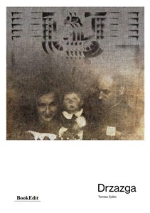 Obrazek Drzazga