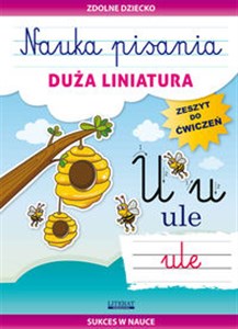 Obrazek Nauka pisania Duża liniatura Zeszyt do ćwiczeń. Sukces w nauce