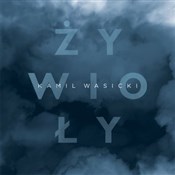 Żywioły - Kamil Wasicki -  polnische Bücher