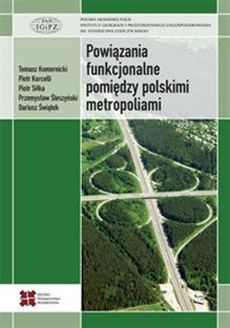 Obrazek Powiązania funkcjonalne pomiędzy polskimi metropoliami