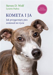 Obrazek Kometa i ja Jak przygarnięty pies uratował mi życie