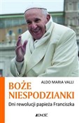 Boże niesp... - Maria Valli Aldo -  polnische Bücher