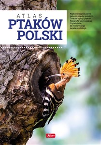Obrazek Atlas ptaków Polski