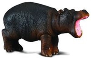 Bild von Hipopotam młody S