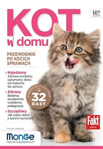 Obrazek Kot w domu