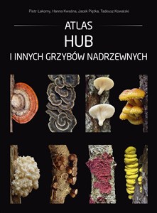 Bild von Atlas hub i innych grzybów nadrzewnych
