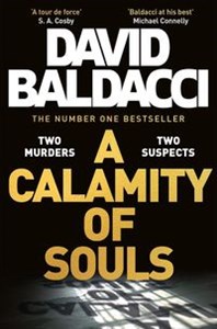 Bild von A Calamity of Souls