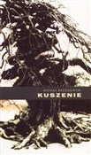 Zobacz : Kuszenie - Michał Brzozowski
