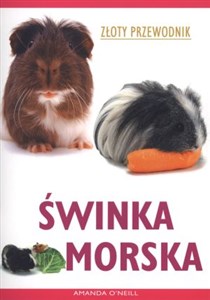 Bild von Świnka morska. Złoty przewodnik