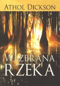 Bild von Wezbrana Rzeka