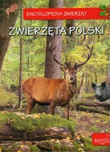 Obrazek Encyklopedia zwierząt Zwierzęta Polski