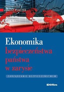 Obrazek Ekonomika bezpieczeństwa państwa w zarysie Zarządzanie bezpieczeństwem