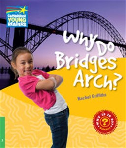 Obrazek Why Do Bridges Arch? Level 3 Factbook
