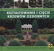 Kształtowa... - Jenny Hendy -  fremdsprachige bücher polnisch 