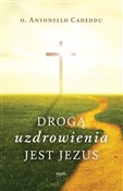 Polnische buch : Drogą uzdr... - Antonello Cadeddu