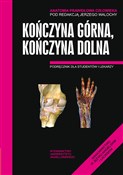 Anatomia P... - Jerzy Walocha (red.) -  polnische Bücher