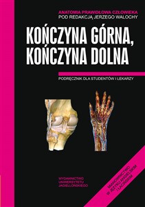 Obrazek Anatomia Prawidłowa Człowieka Kończyna górna, Kończyna dolna Podręcznik dla studentów i lekarzy