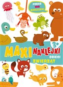 Maxinaklej... - Rita Giannetti (ilustr.) -  polnische Bücher