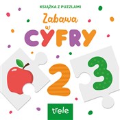 Polska książka : Cyfry. Ksi... - Opracowanie Zbiorowe