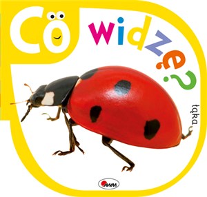 Bild von Co widzę Łąka