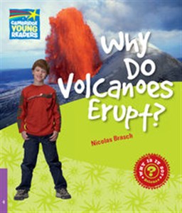 Bild von Why Do Volcanoes Erupt? 4 Factbook