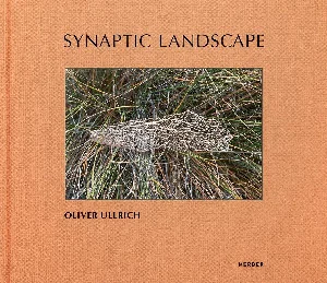 Bild von OLIVER ULLRICH