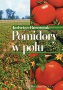 Książka : Pomidory w... - Jadwiga Borowiak