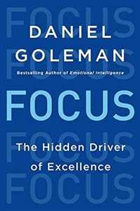 Bild von Focus: The Hidden Driver of Excellence